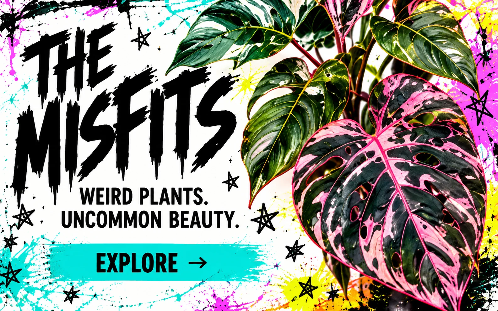 The misfits. Weird plants. Uncommon beauty.